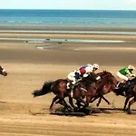 Tara House * Laytown
