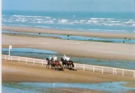 Tara House Gasthuis *