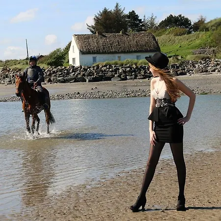 Pensjonat Tara House Laytown