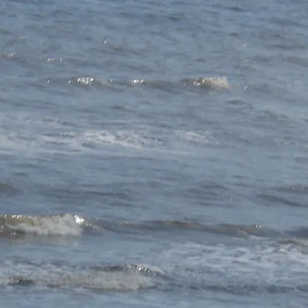 Gasthuis Tara House Laytown