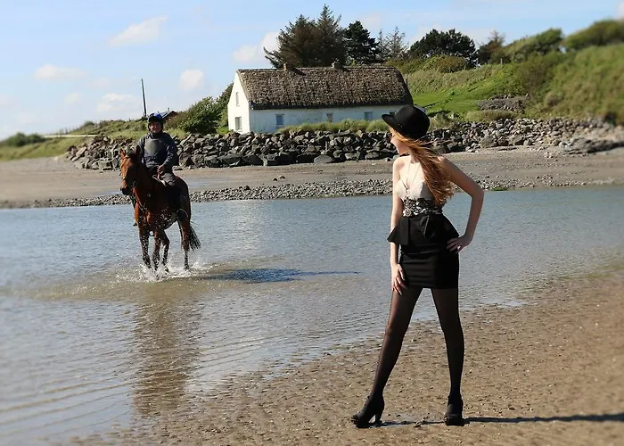 بيت ضيافة Tara House Laytown