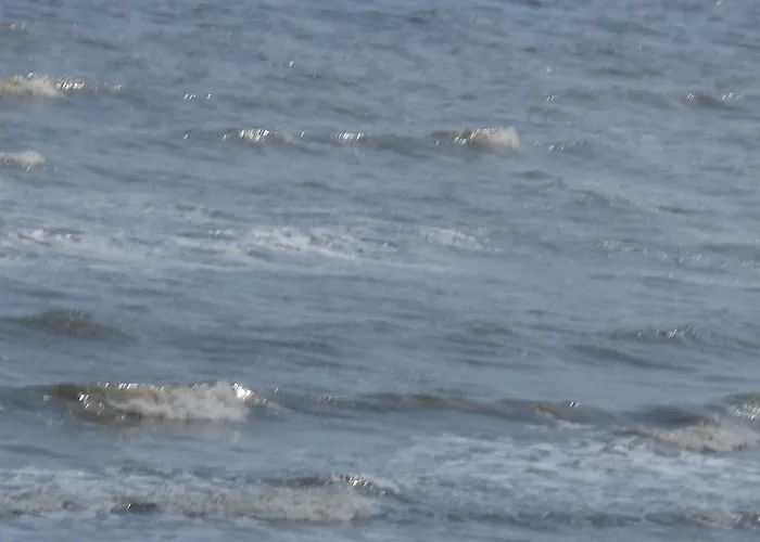 ゲストハウス Tara House Laytown