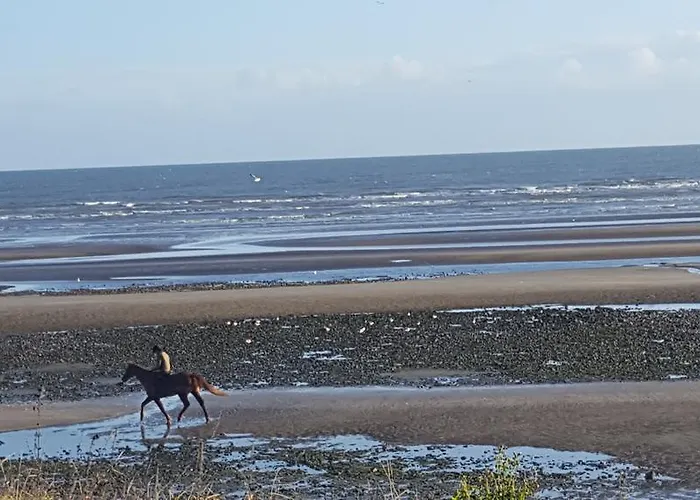 ゲストハウス Tara House